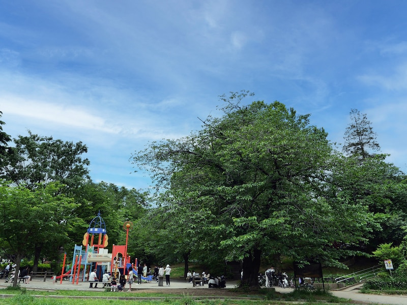 自然や緑が豊かな街、青葉区