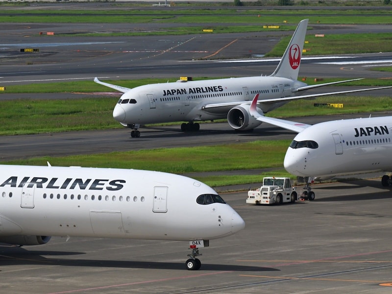 JALの「介護帰省割引」の運賃は割引率などが他社と異なる　※画像は筆者撮影