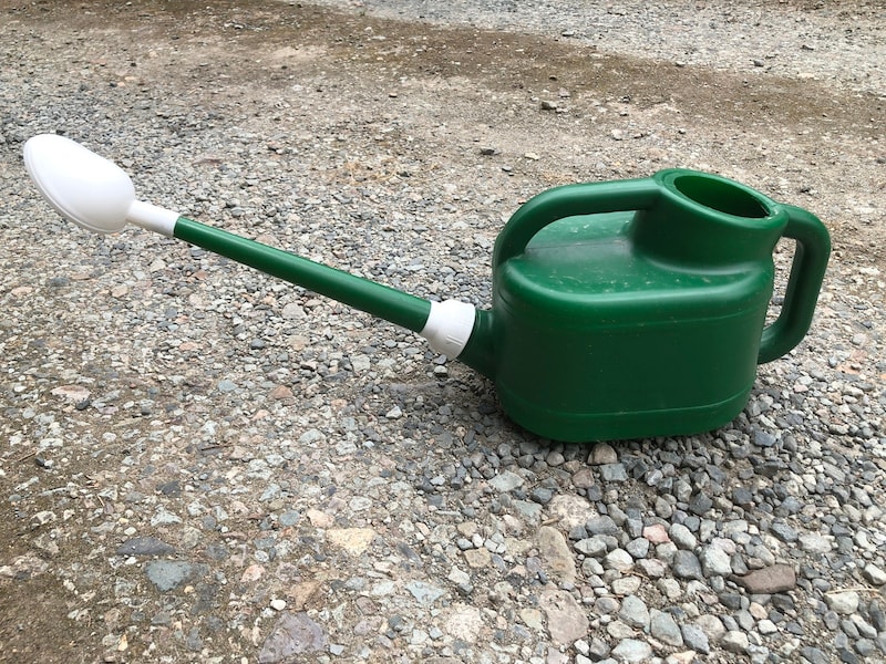 自分で作れるものは裏庭で栽培して少しでも食費を節約…… ※画像：PIXTA