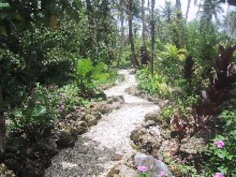 ココパームガーデンビーチ