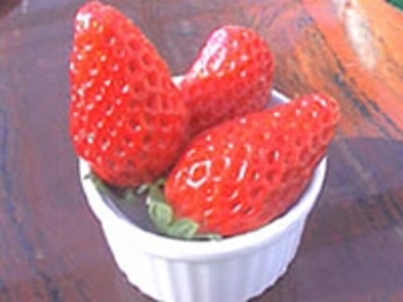 中伊豆を中心にイチゴ狩りも盛ん