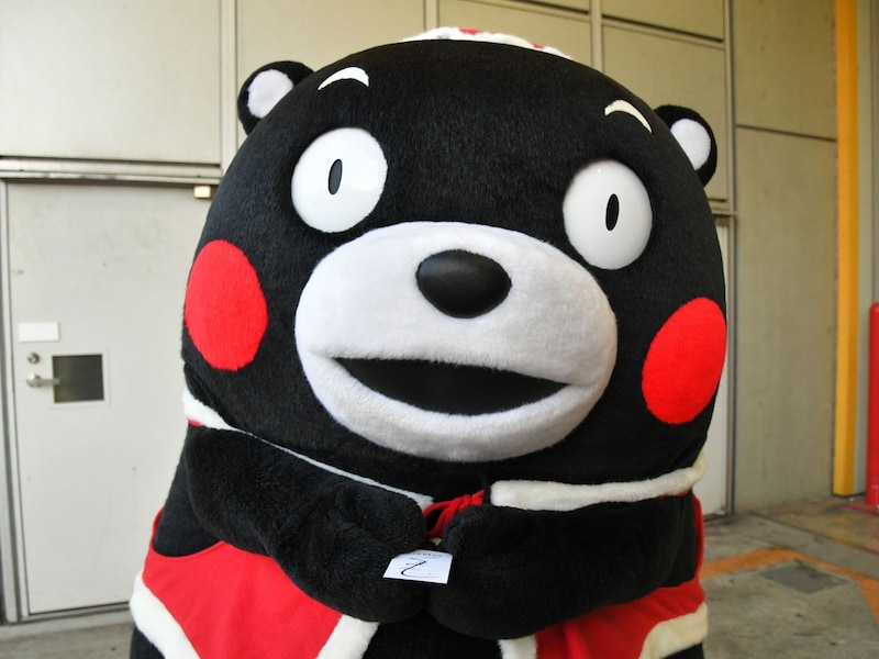 どっちが本物？＝11月1日、東京都文京区