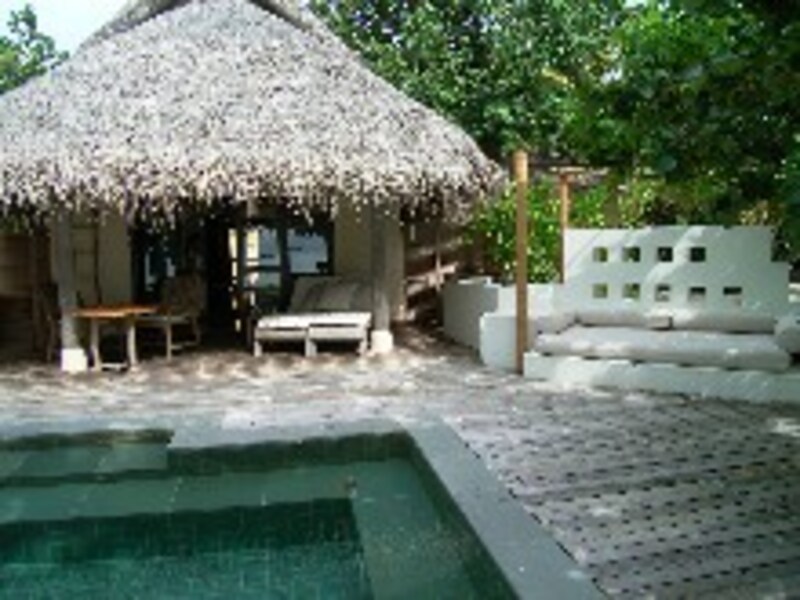 タージエキゾチカ