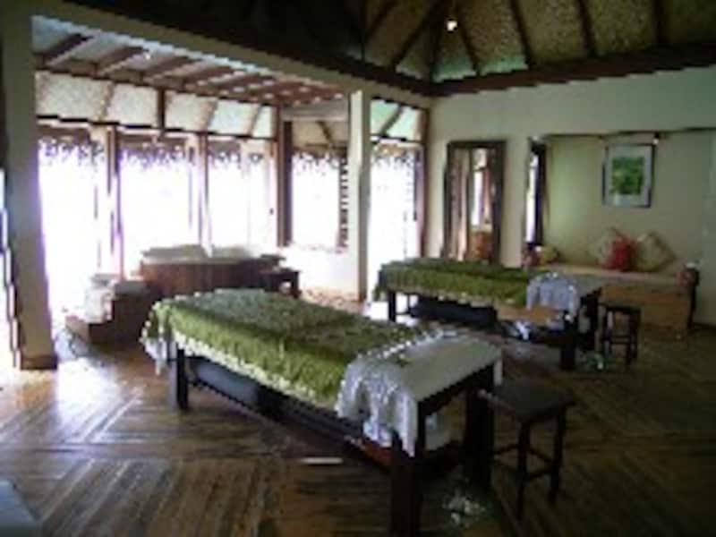 タージエキゾチカ