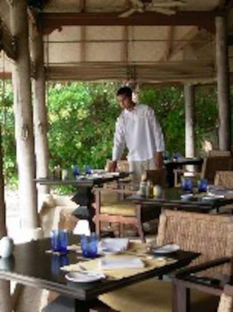 タージエキゾチカ