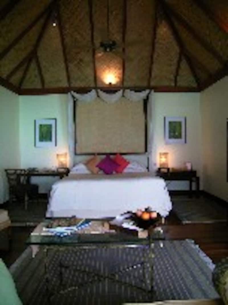 タージエキゾチカ