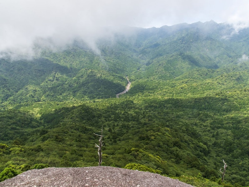 60代女性_シニア旅行_屋久島_白谷雲水峡