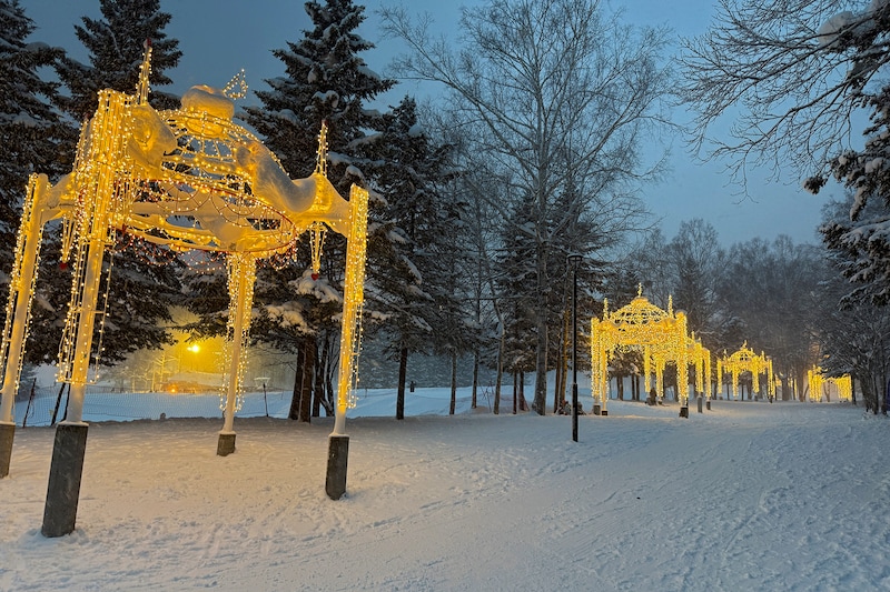 ホテル横に登場する「スターダストアベニュー」は全長300mの光の散歩道