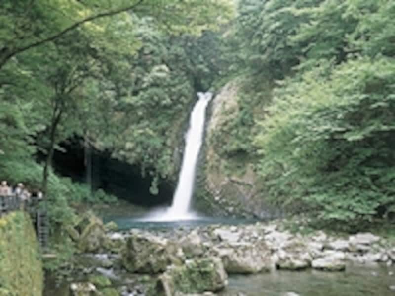 伊豆の名瀑「浄蓮の滝」