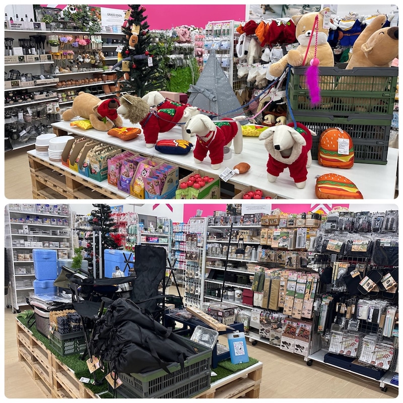 ダイソー　ワン・バンコク店　ペット用品　キャンプ用品