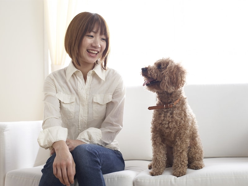 ゆうちょ銀行と地方銀行の定期預金。50万円を1年・3年・5年預けた場合の利息は？※サムネイル画像：amanaimages