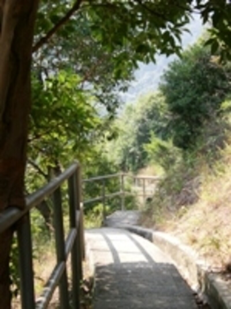 舗装されたハイキングトレイル