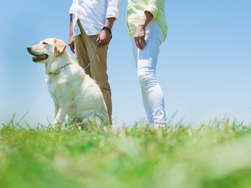 「還暦結婚」した夫婦の日常とは（画像：PIXTA）