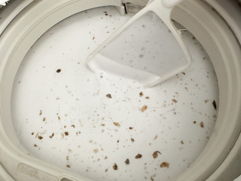 洗濯槽の黒わかめ