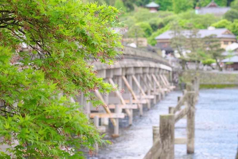 新緑の渡月橋