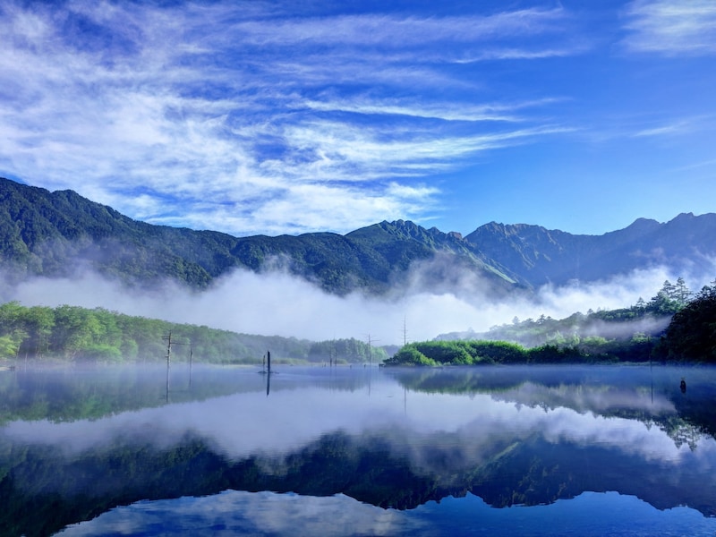 66歳,女性,シニア,1人旅