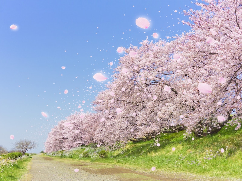 お金をかけずに感性を磨く、大人の散歩術 ※画像：amanaimages