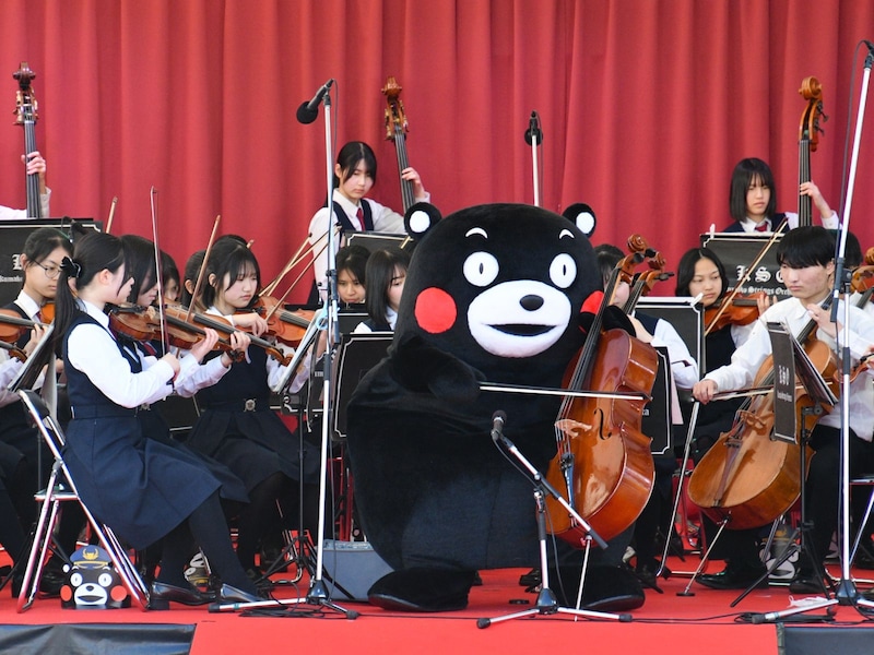 熊本高等学校・弦楽オーケストラ部とコラボしてチェロを弾くくまモン＝3月14・15日、熊本市