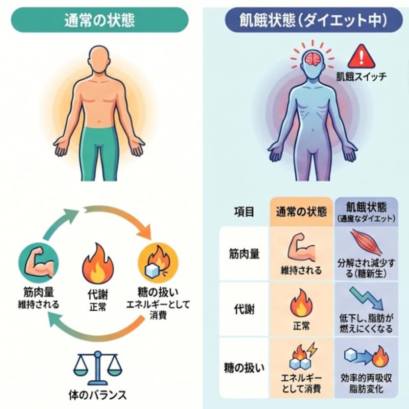 糖質制限で体は飢餓状態と認識