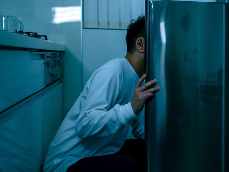 冷凍すれば長持ちするだろうと考えていたのですが……