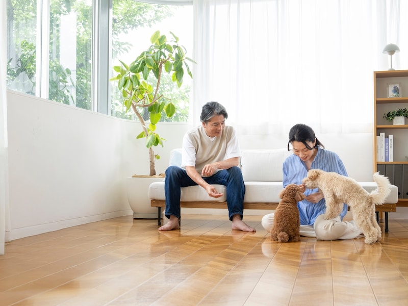 60歳で「半同棲」を選んだ理由とは（画像：PIXTA）