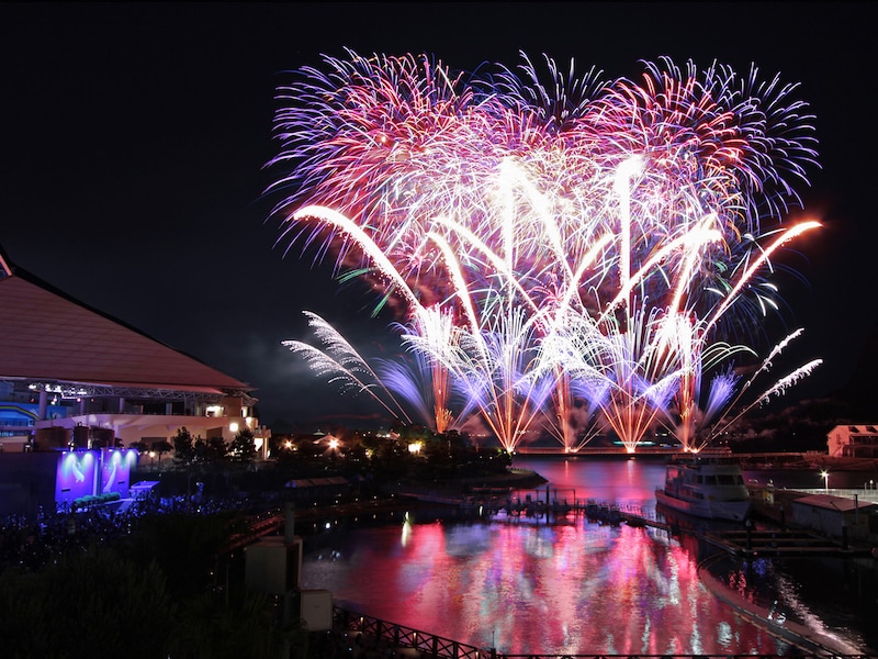 横浜・八景島シーパラダイスオリジナルの花火ショー「花火シンフォニア」（提供画像）