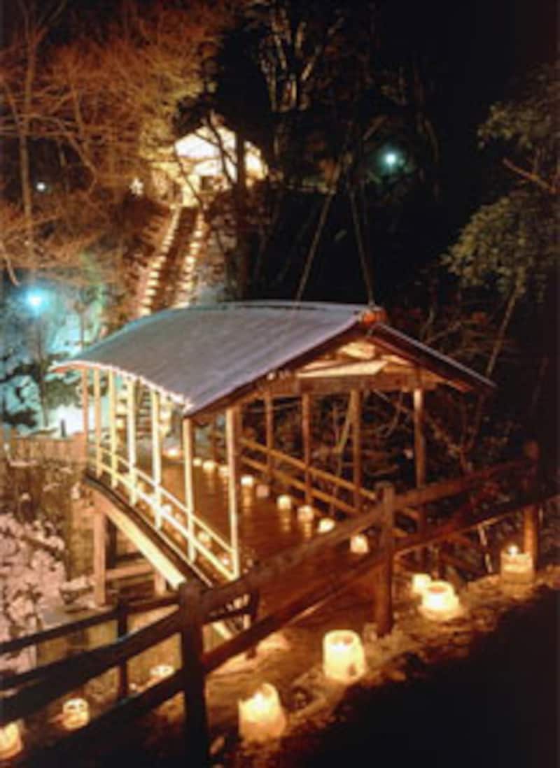 2 3 信州 寒いからこそ 氷彫刻展 アイスキャンドル祭り 長野の観光 旅行 all about