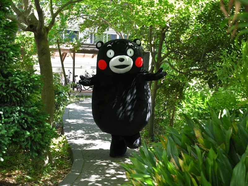 「やっぱりイケメソかモン？」
