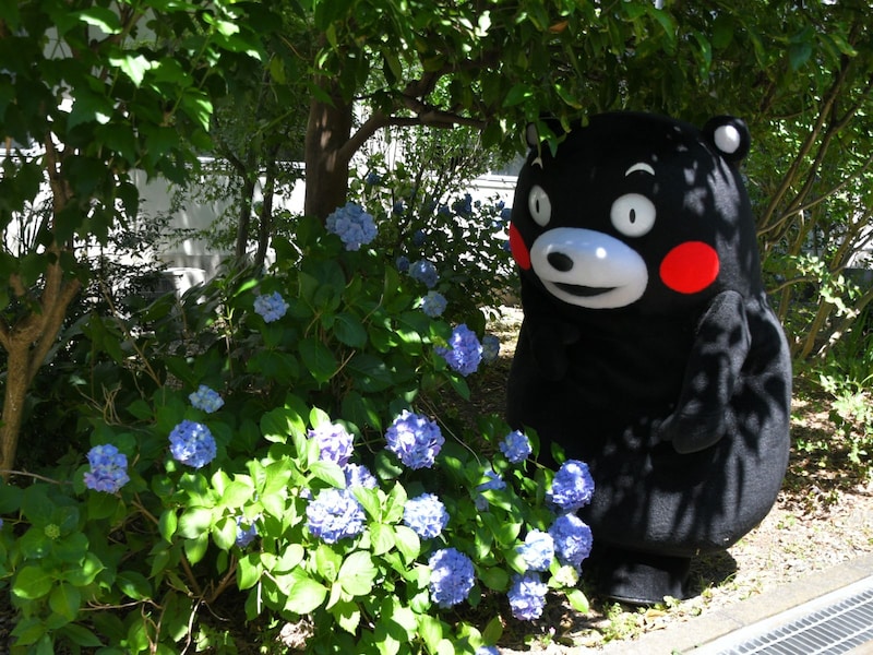 いとおしそうに愛でていた