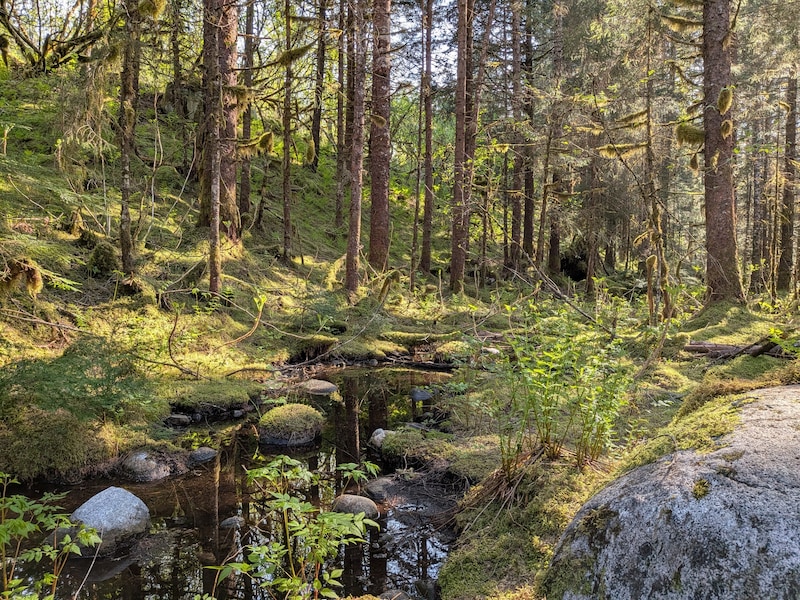 氷河