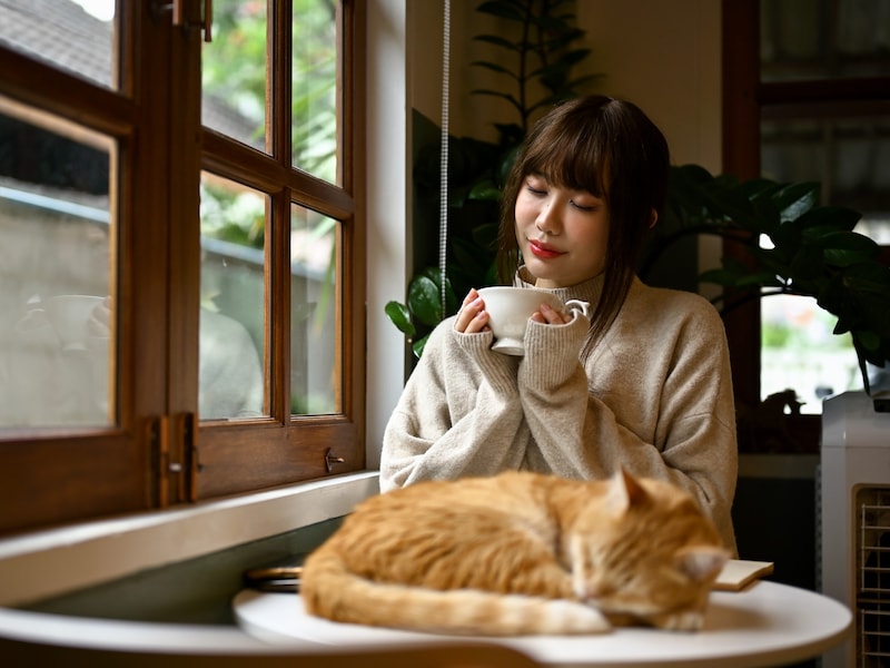 ゆうちょ銀行の定期貯金、複利が適用されるのは何年以上から？（画像：PIXTA）