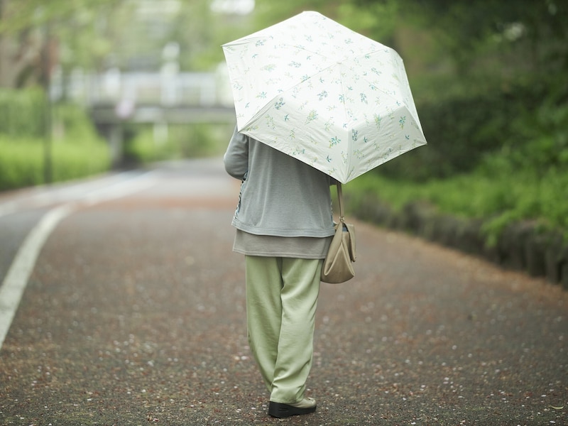 傘を差すシニア女性の後ろ姿