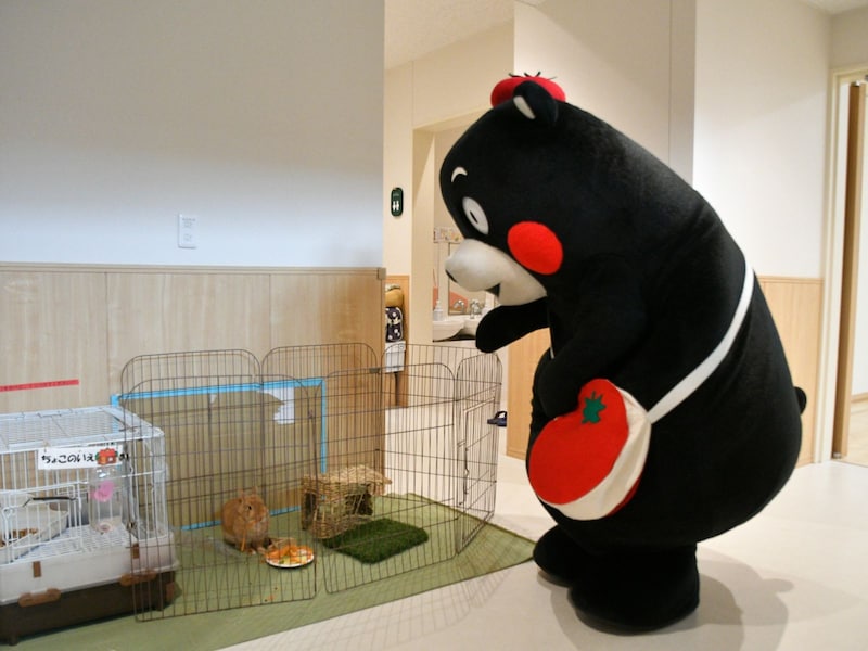 ちょこちゃんの「ごはん」を狙う？
