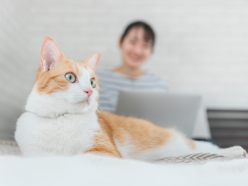 ゆうちょ銀行の口座を開くのにかかるお金は?(画像:PIXTA)