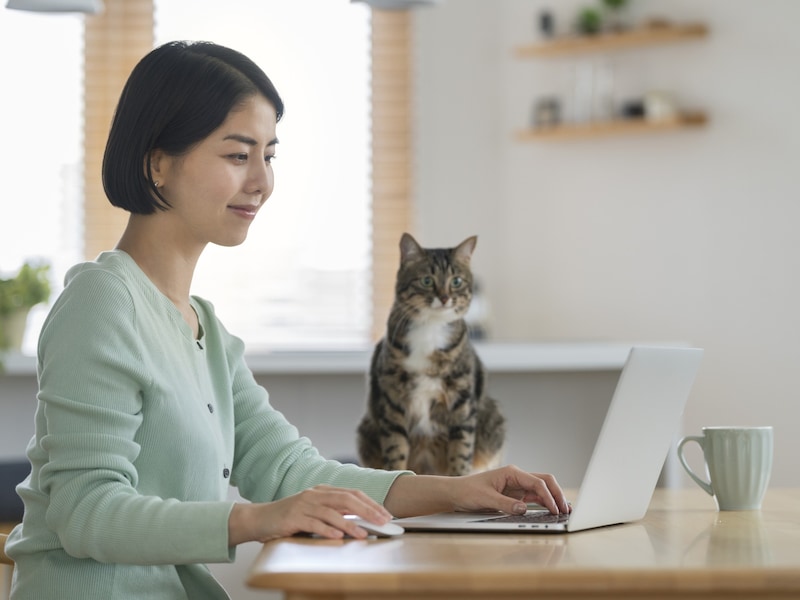 ゆうちょ銀行が民営化されたのは何年？（画像：PIXTA）