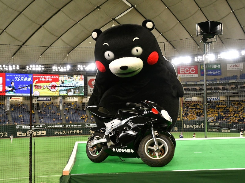 乗りたそうにガン見していた