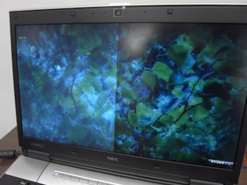 Windowsノート本体 LAVIE pc 2/3 NEC LaVieシリーズ 2009年春モデル [ノートパソコン] All About