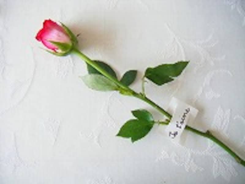 パパありがとうその6