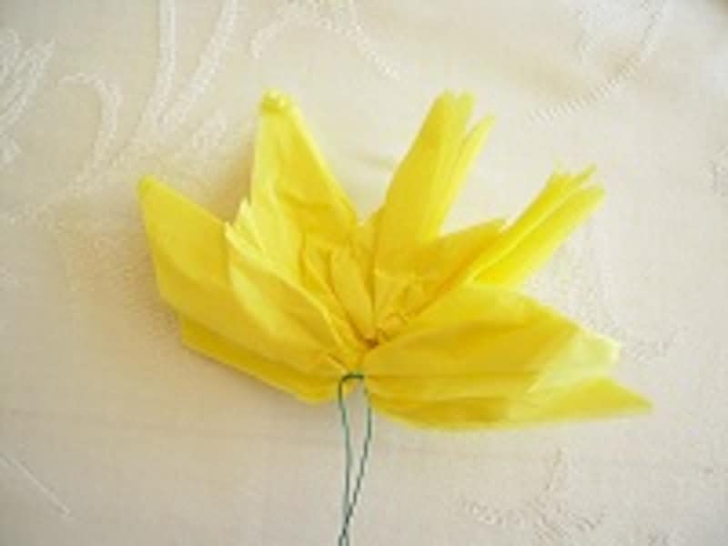 ペーパーポンポン３