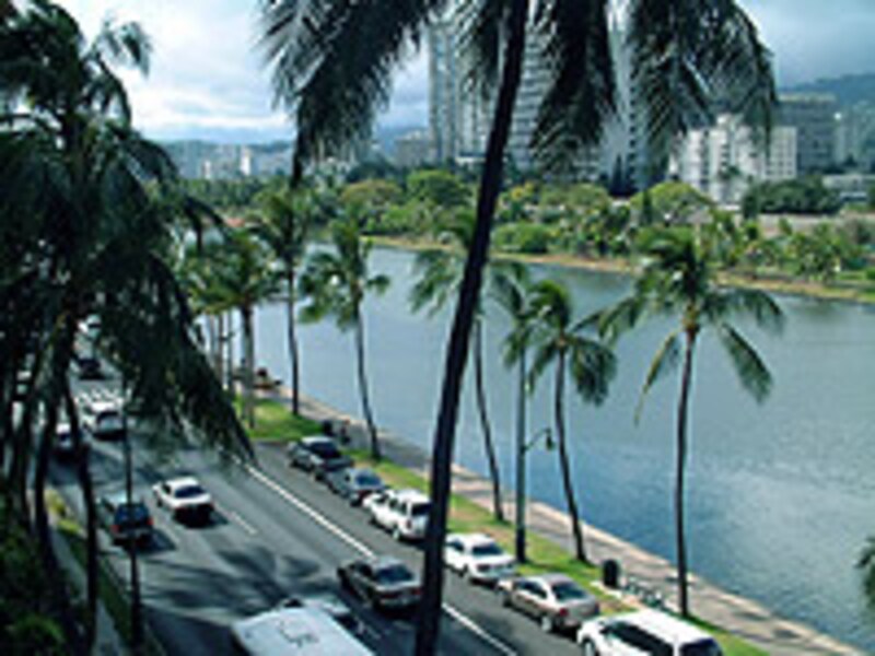 アラワイ運河で散歩