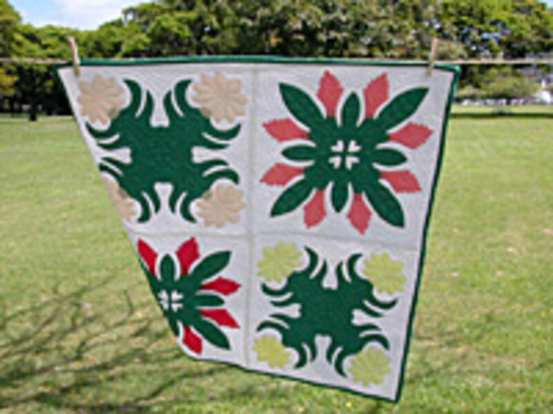 ハワイの自然をモチーフにした生活から生まれた文化