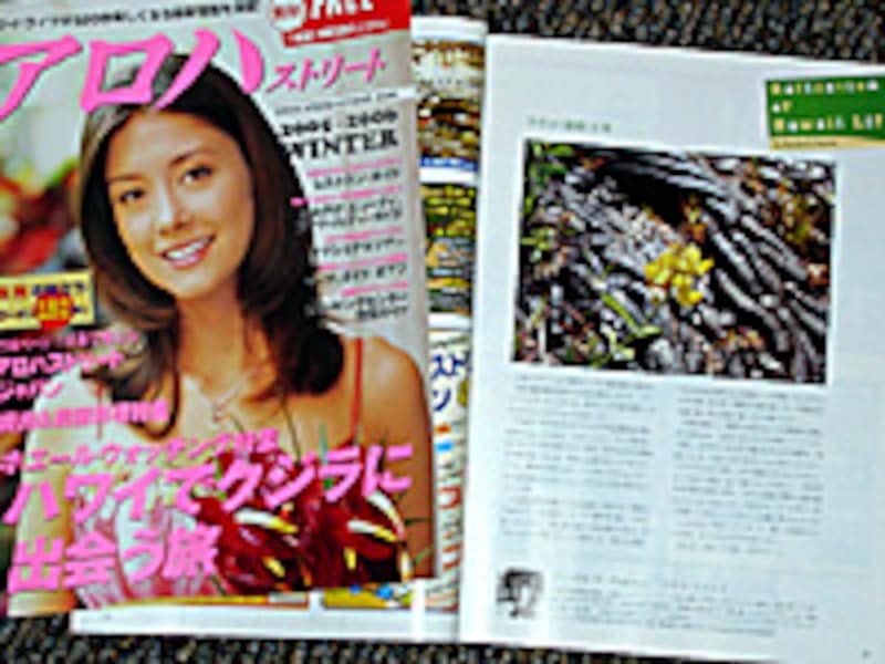 相楽晴子フォトエッセイ in アロハストリート