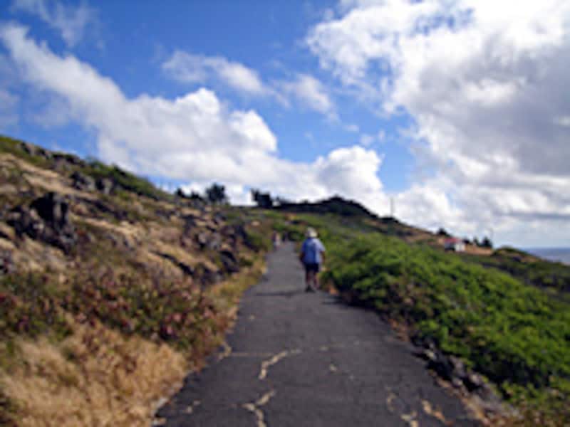 マカプウ・トレイル