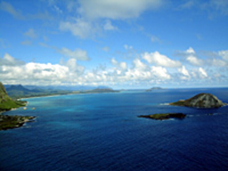 マカプウ・トレイル頂上