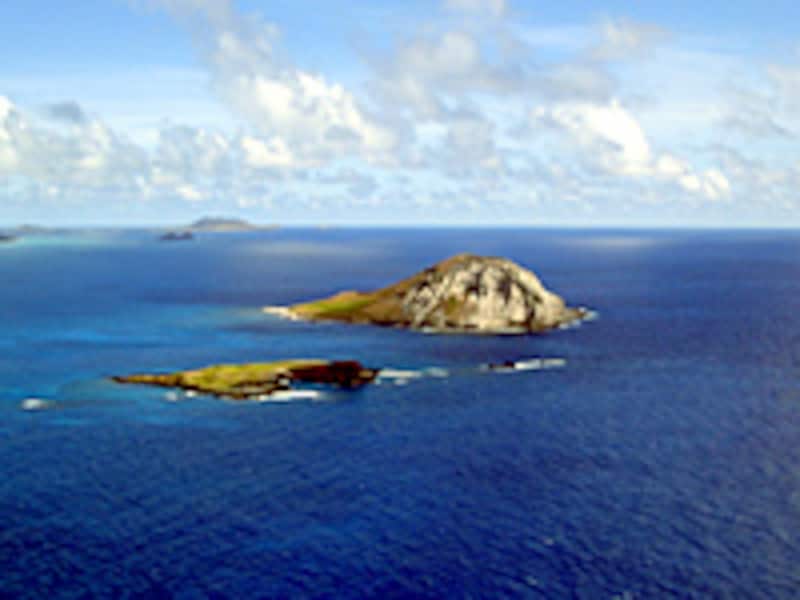 マカプウ・トレイル頂上