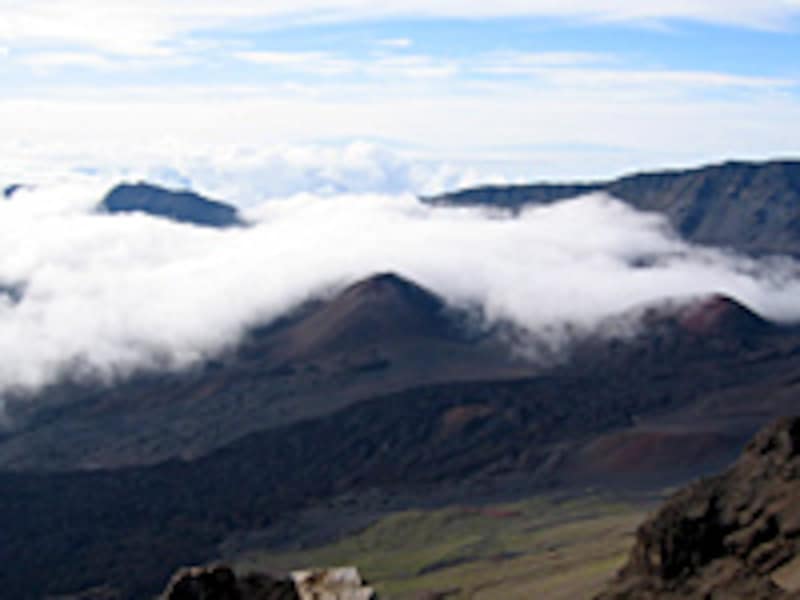 シアトル時代から、ビル・ゲイツの影響もあってマウイが大好きだったそうです。