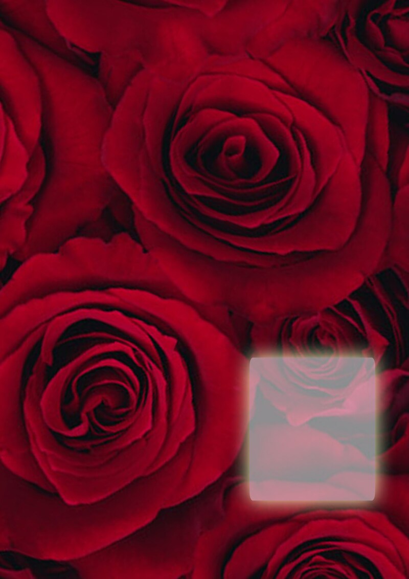 メッセージカード