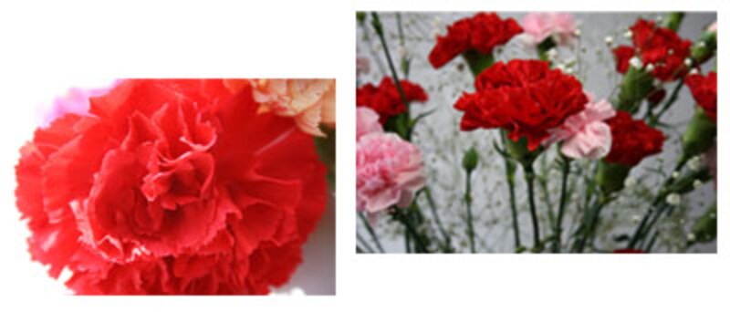 KSNET（けーえすねっと）