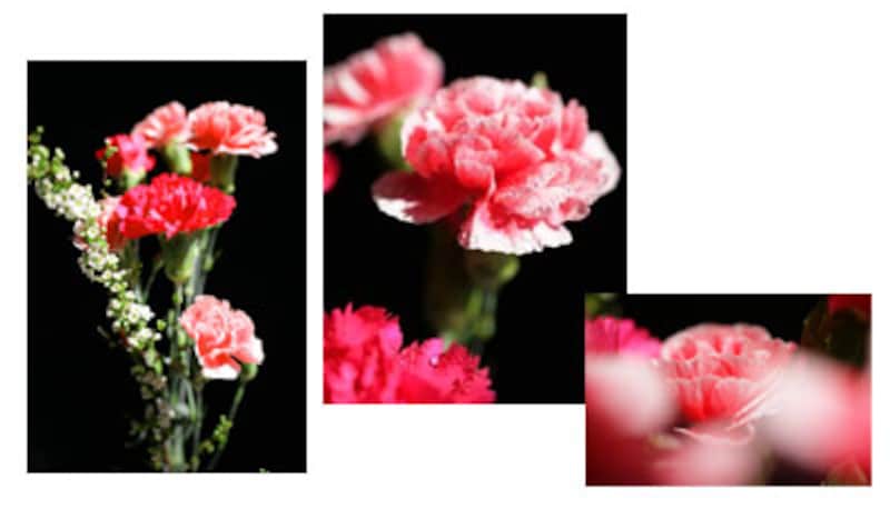 ゆんフリー写真素材集