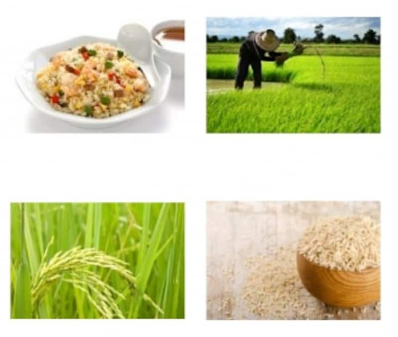 食育指導に 食べ物の素材サイトおすすめ10選 Web素材 All About